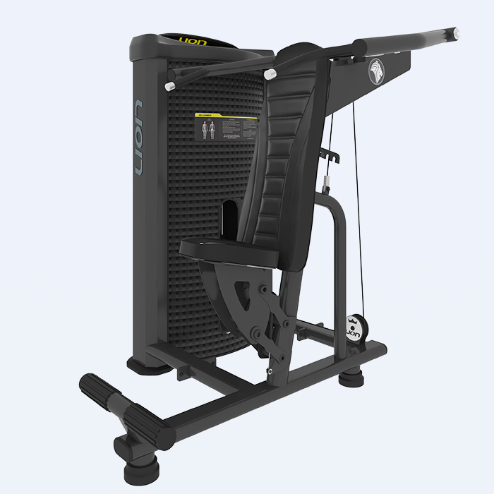 Desenvolvimento de Ombros LFR